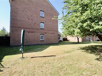 Picture 12